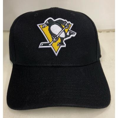 AM-NHL Stadium L, Pittsburgh Penguins