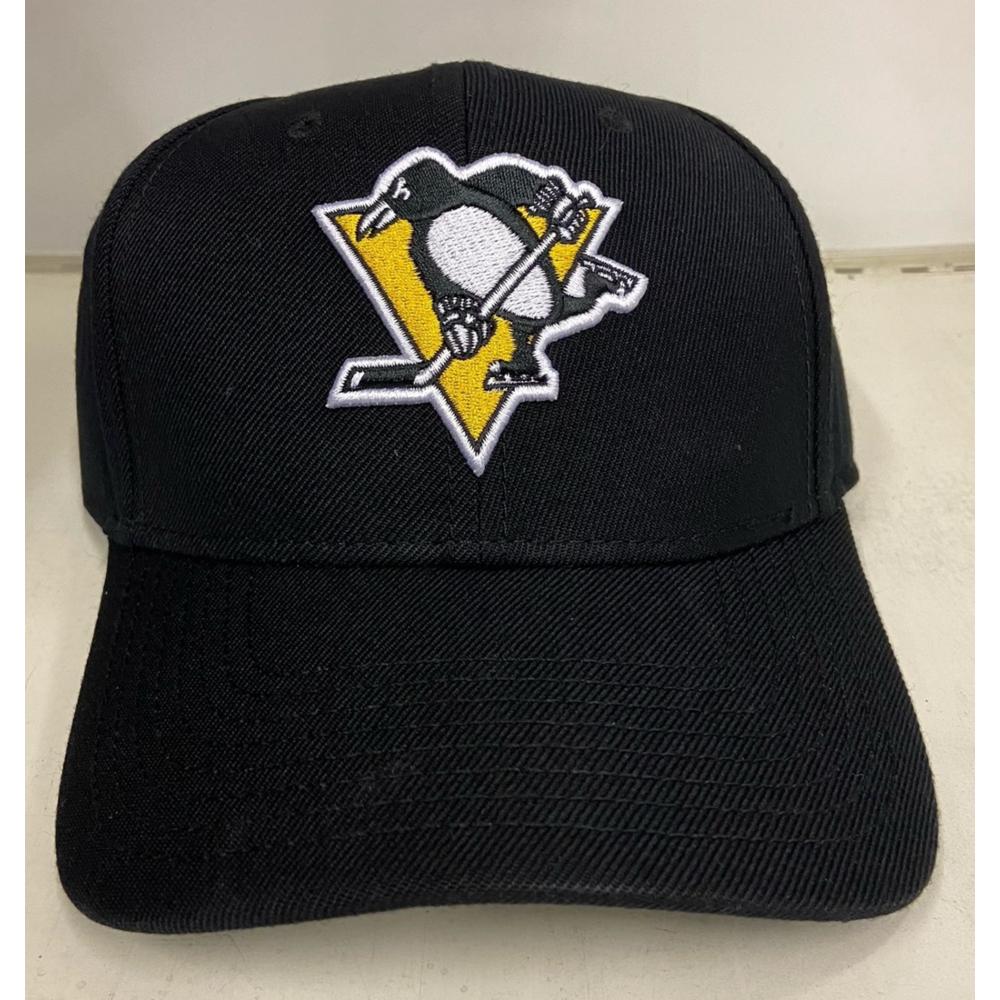 AM-NHL Stadium L, Pittsburgh Penguins