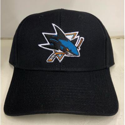 AM-NHL Stadium L, San Jose Sharks